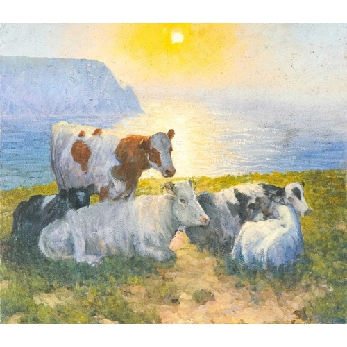 Lot 335       