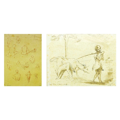 Lot 351       