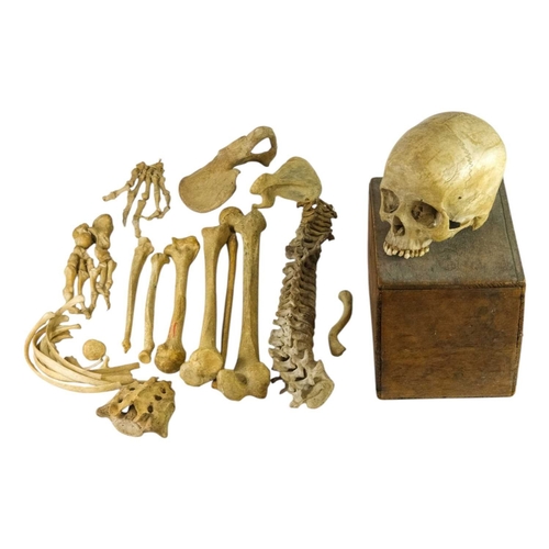 Lot 298       