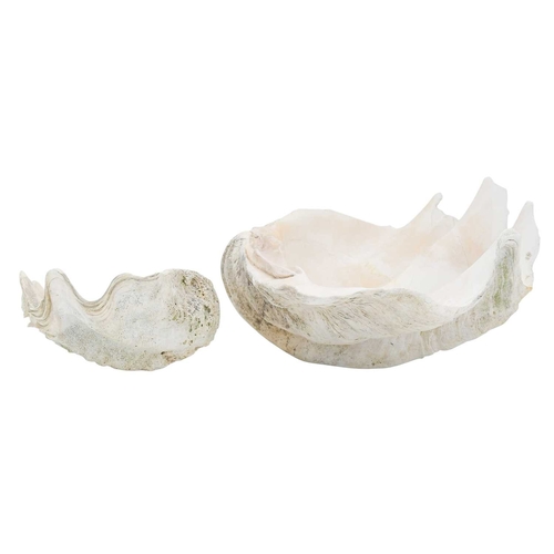 Lot 299       