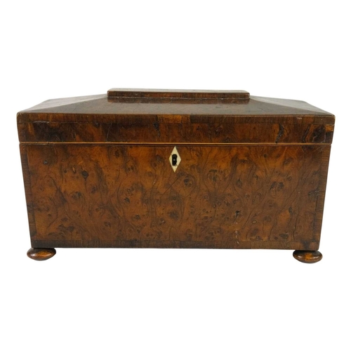 Lot 682       