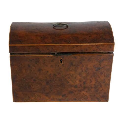 Lot 704       
