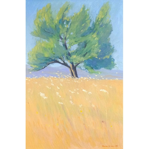 Lot 28        