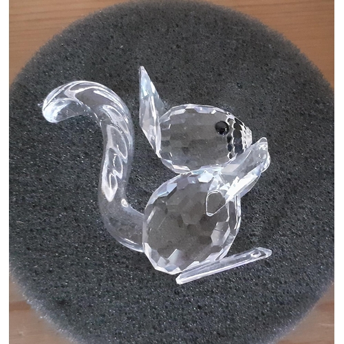 23 - Small Swarovski Crystal Squirrel In Box