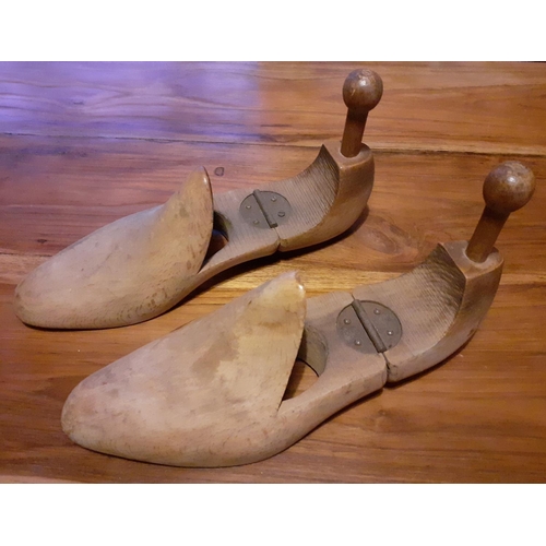 23 - Pair of Vintage Shoe Horns