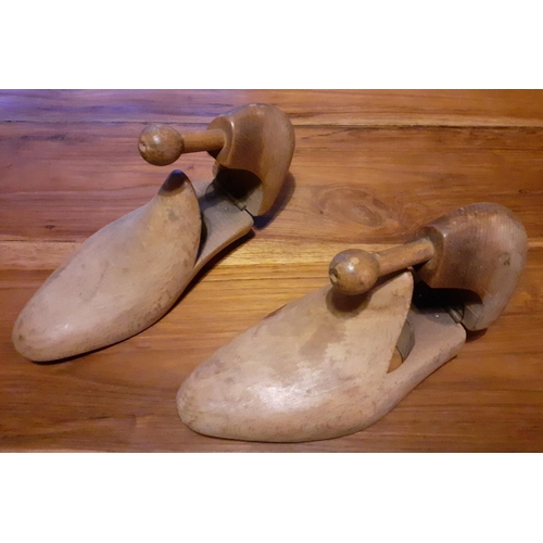 23 - Pair of Vintage Shoe Horns