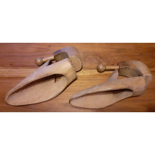 23 - Pair of Vintage Shoe Horns