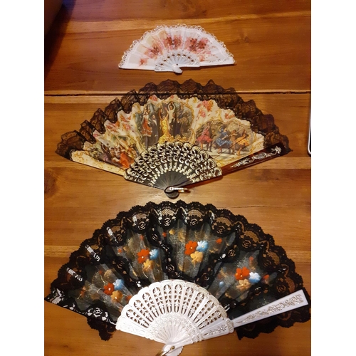 41 - Three Different Hand Fans