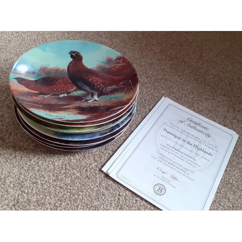 50 - 8 Magnificent GameBirds Plates from The Bradford Exchange