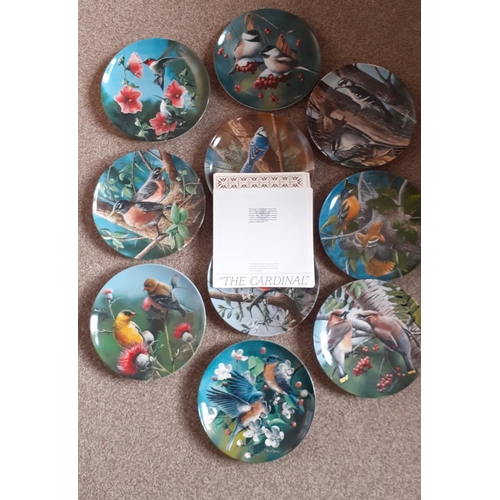 52 - 10 Birds of Your Garden Limited Edition Plates. Knowles Fine China.