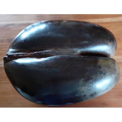 55 - Coco De Mer Shell Basket - Early 1900's30cm Long