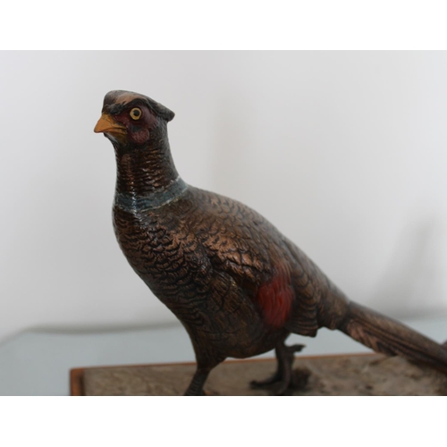 17 - Gold Painted Metal Pheasant Fire Striker on Plinth. Possibly Bronze.

Measures 20cm high x 31cm Wide... 