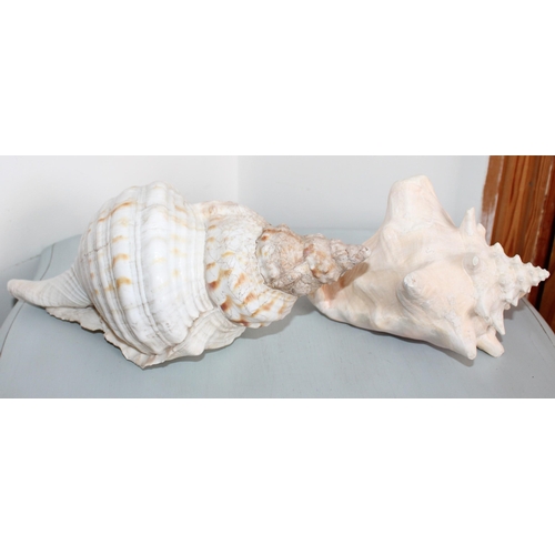 11 - Two Large Sea Shells
Largest-30cm Long
All Proceeds Go To Charity