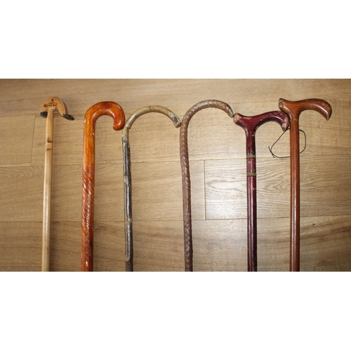 774 - Six Collectable Walking Sticks