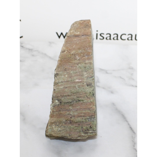 101 - Fossil Wood - Length 17cm