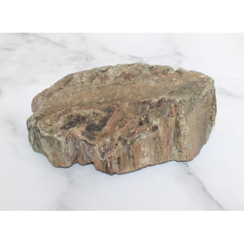 101 - Fossil Wood - Length 17cm