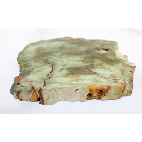 102 - Piece Of Fossil Wood
9.5 x 8.5cm