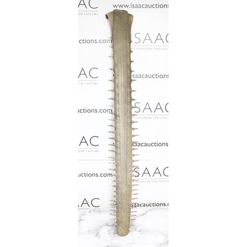 52 - Original Sawfish Rostrum Height-104cm
Collection Only