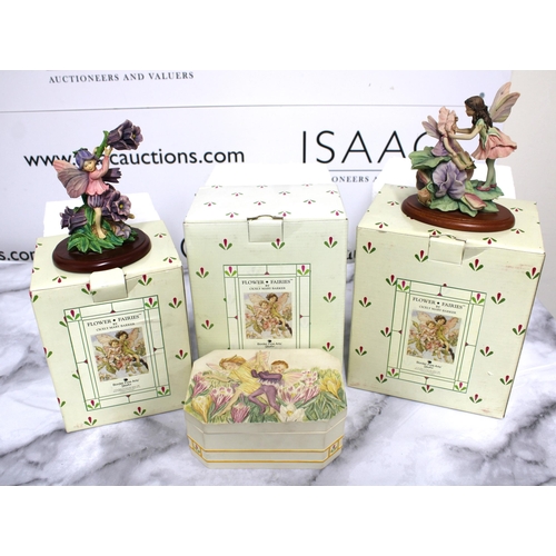 54 - Three Boxed Flower Fairies By Cicely Mary Barker Border Fine Arts