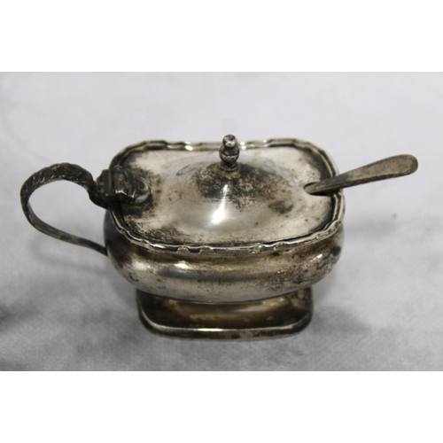 560 - Silver Hallmarked Mustard Pot & Spoon