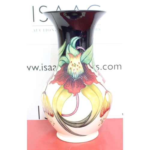 1 - Boxed Moorcroft Anna Lily Large Vase 
Height 34cm
COLLECTION ONLY