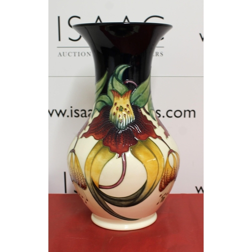 1 - Boxed Moorcroft Anna Lily Large Vase 
Height 34cm
COLLECTION ONLY