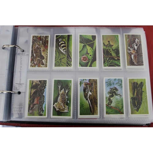 55 - Large Quantity Of Very Collectable Tea Cards & Cigarette Cards In Folders
Including Complete Sets