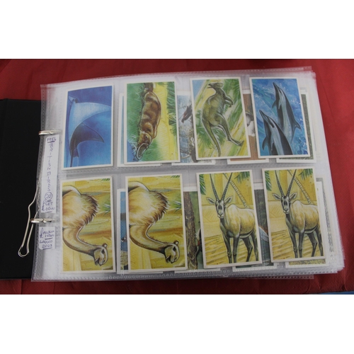 55 - Large Quantity Of Very Collectable Tea Cards & Cigarette Cards In Folders
Including Complete Sets