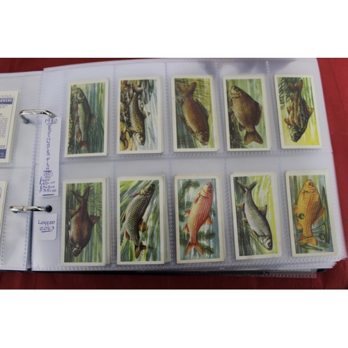 55 - Large Quantity Of Very Collectable Tea Cards & Cigarette Cards In Folders
Including Complete Sets