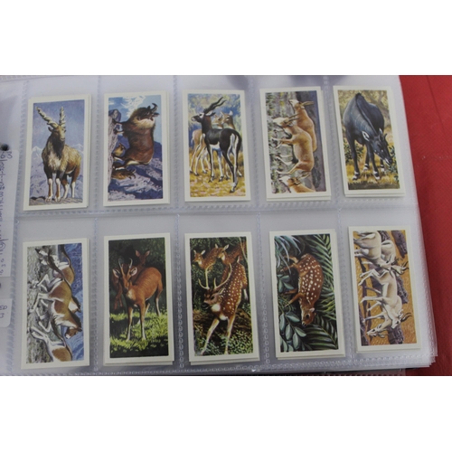 55 - Large Quantity Of Very Collectable Tea Cards & Cigarette Cards In Folders
Including Complete Sets