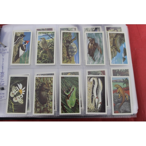 55 - Large Quantity Of Very Collectable Tea Cards & Cigarette Cards In Folders
Including Complete Sets