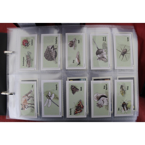 55 - Large Quantity Of Very Collectable Tea Cards & Cigarette Cards In Folders
Including Complete Sets