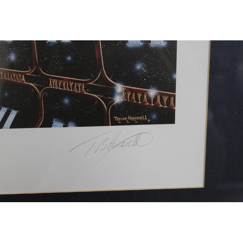 596 - Two Framed Star Trek Pictures One by Trevor Horswell And One Containing Collectable Cards 
263/850
H... 