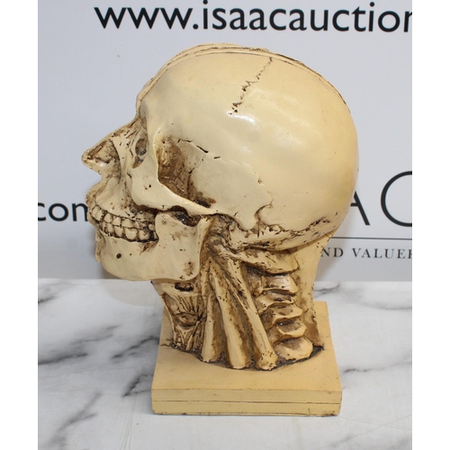 148 - Four Collectable Skulls 
Tallest-23cm
COLLECTION ONLY