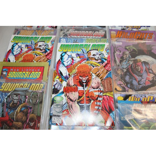 20 - A Quantity Of Comics  Including Young Blood, Wild Cats Covert Action Team , Wild Cats Trilogy And Br...