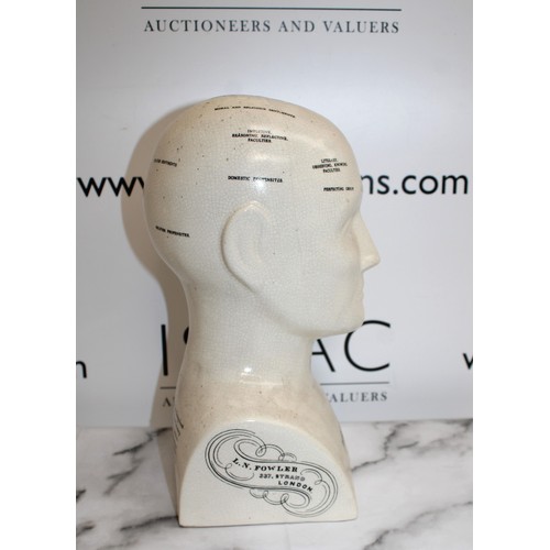 158 - Ceramic PHRENOLOGY HEAD Height 30cm 
COLLECTION ONLY