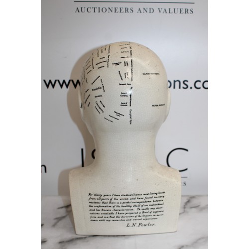 158 - Ceramic PHRENOLOGY HEAD Height 30cm 
COLLECTION ONLY