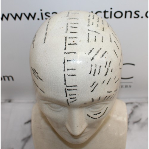 158 - Ceramic PHRENOLOGY HEAD Height 30cm 
COLLECTION ONLY