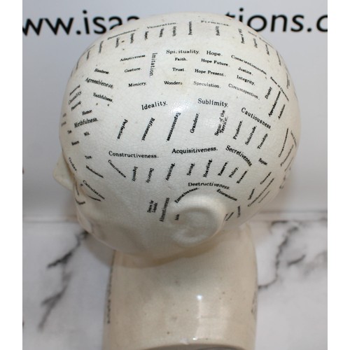 158 - Ceramic PHRENOLOGY HEAD Height 30cm 
COLLECTION ONLY