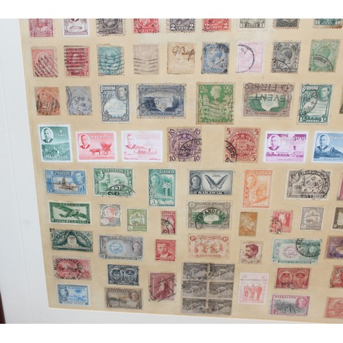 47 - 2 x Framed Stamp Collections Inc: Old Commonwealth And 1881-1948 23cm x 19cm
COLLECTION ONLY