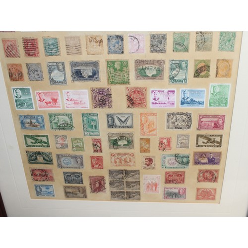 47 - 2 x Framed Stamp Collections Inc: Old Commonwealth And 1881-1948 23cm x 19cm
COLLECTION ONLY