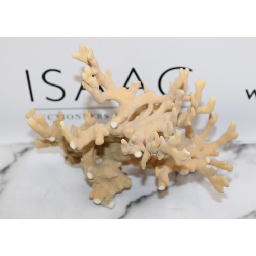 154 - Branch Of Coral Height 20cm
COLLECTION ONLY