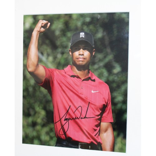 650 - A Collectable Signed Framed Picture Of Tiger Woods With A Certificate Of Authenticity 34cmx44cm
COLL... 