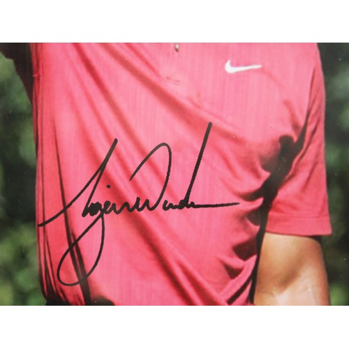 650 - A Collectable Signed Framed Picture Of Tiger Woods With A Certificate Of Authenticity 34cmx44cm
COLL... 