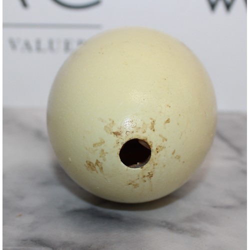 286 - Large White Rhea Egg
Height 13cm
COLLECTION ONLY