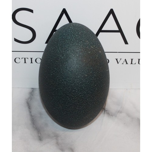 318 - Emu Egg
Height 13cm
COLLECTION ONLY