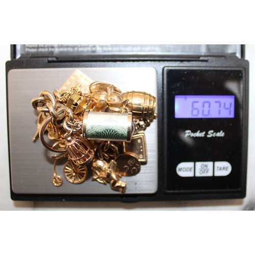 619 - Stamped 375 Gold Charm Bracelet With 375 /14K Charms Total Weight 60.74g