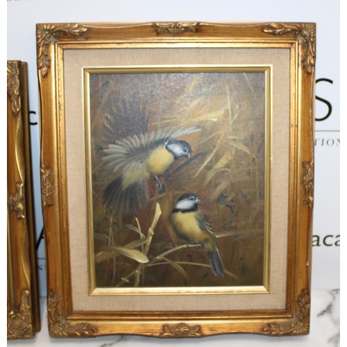 290 - One Oil On Canvas Bird Painting In A Decorative Gold Gilt Frame 35.5cm x 30.5cm One Cat Print In A D... 