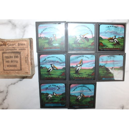 35 - Quantity Of Vintage Colored Lantern Slides Some Boxed Inc- Foolish Bird & Artful Hedgehog FULL SET/D... 