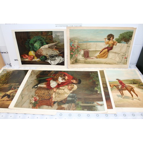 Lot 335       